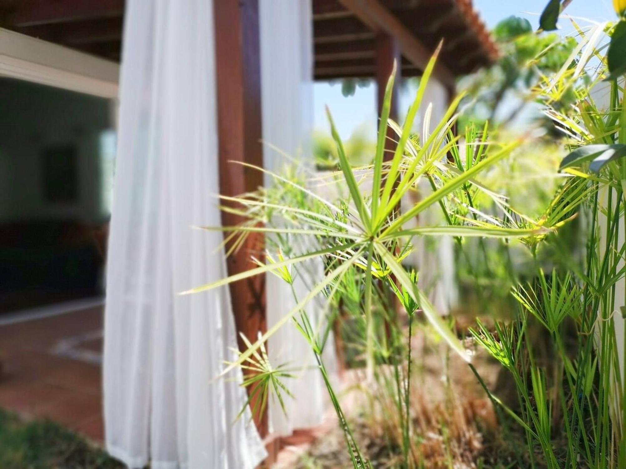 Los Porches D40 By Pride Holiday Rentals San Bartolomé Exterior foto